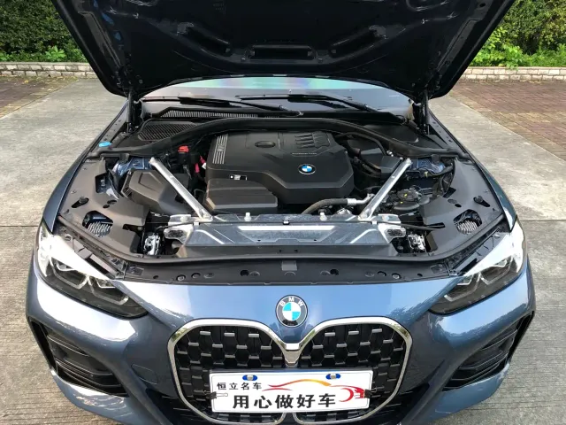 BMW 4 Series — Фото автомобиля 23