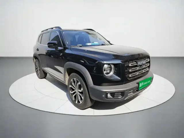 Haval Haval Big Dog 2022 1.5T DCT FWD Border Collie Edition — Фото автомобиля 23