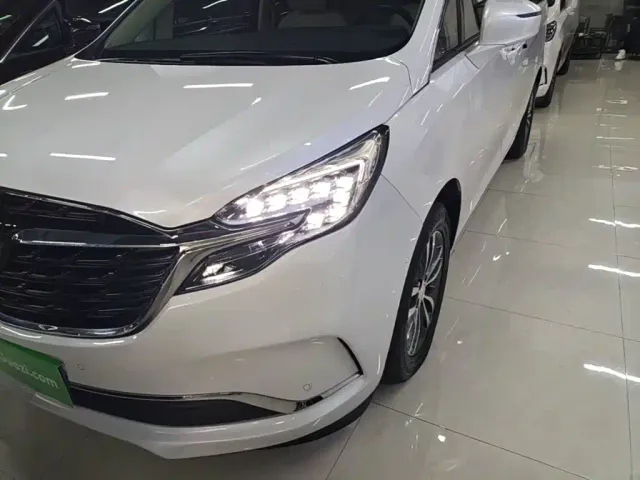 Buick GL8 — Фото автомобиля 23
