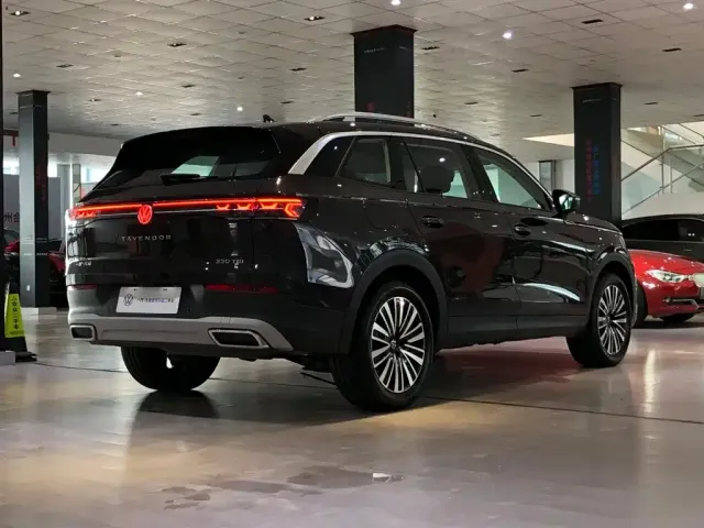 Volkswagen Talagon — Фото автомобиля 14