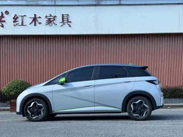 BYD Dolphin — Фото автомобиля 4