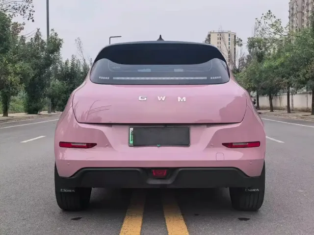 Ora Ora Good Cat 2025 430km Honor Edition — Фото автомобиля 8
