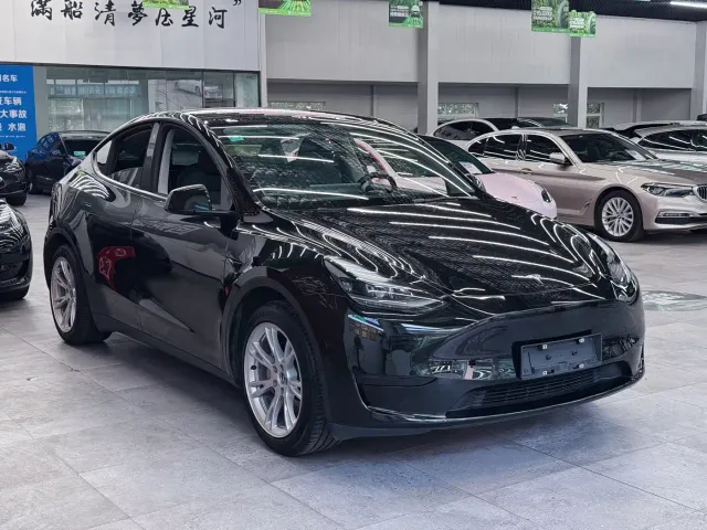 Tesla Model Y — Фото автомобиля 3