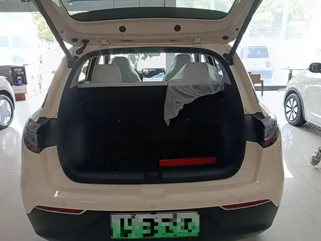 Geely Starry Wish — Фото автомобиля 18