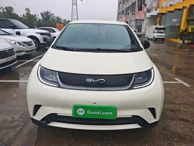 BYD Dolphin — Фото автомобиля 2