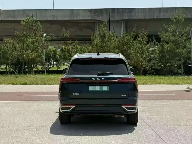 Wey Lanshan — Фото автомобиля 8