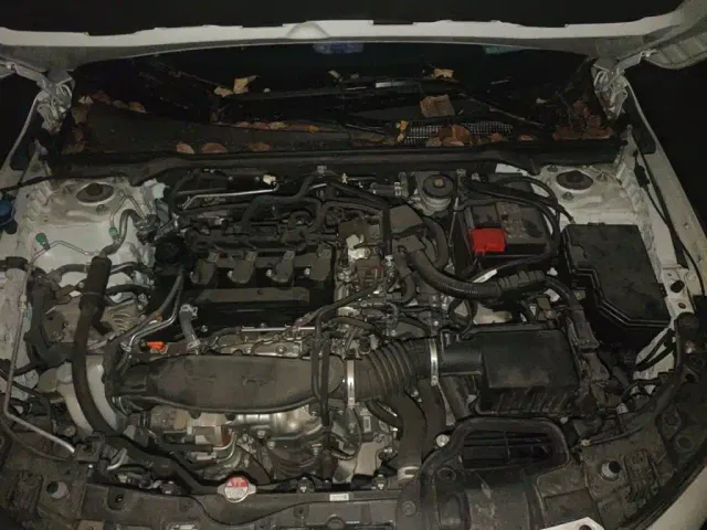 Honda Civic — Фото автомобиля 16
