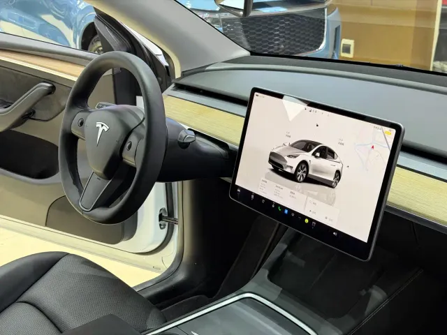 Tesla Model Y — Фото автомобиля 11