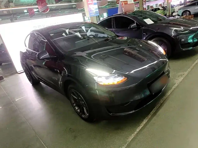 Tesla Model Y — Фото автомобиля 3