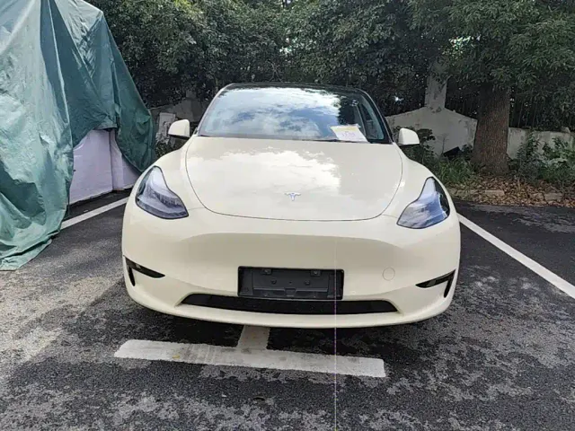 Tesla Model Y — Фото автомобиля 2
