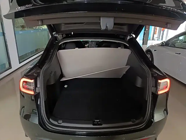 Tesla Model Y — Фото автомобиля 18