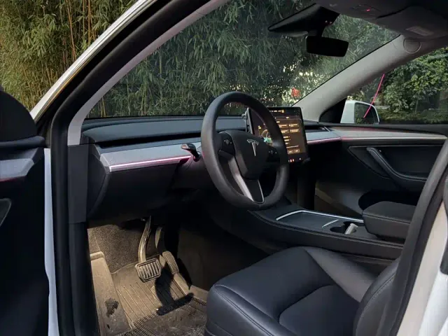 Tesla Model Y — Фото автомобиля 5