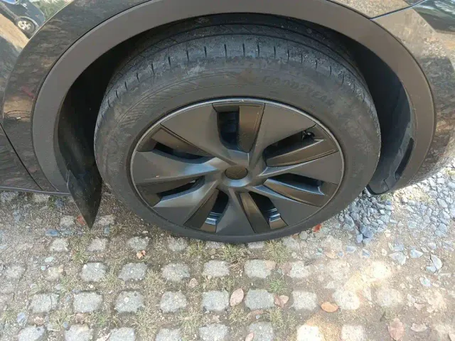 Tesla Model Y — Фото автомобиля 8