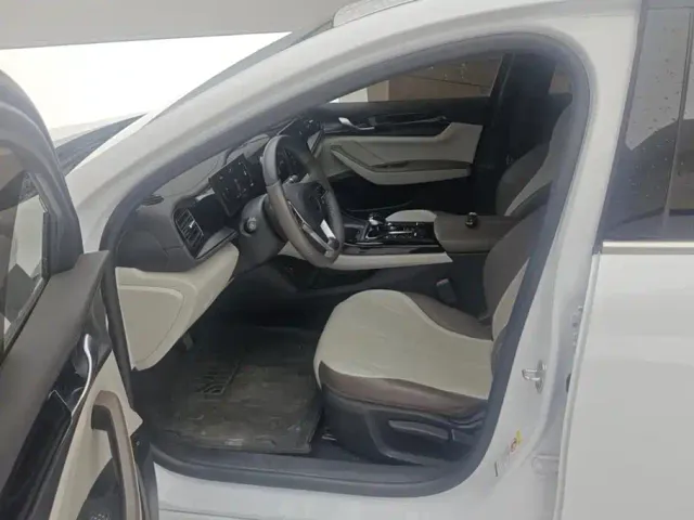 BYD Qin PLUS — Фото автомобиля 9