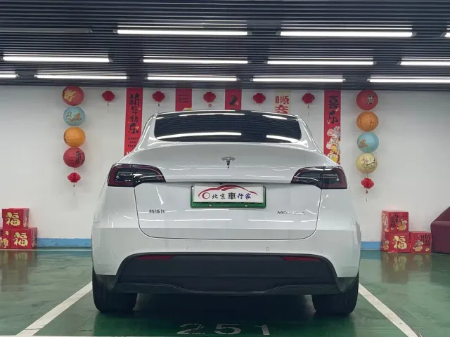 Tesla Model Y — Фото автомобиля 6