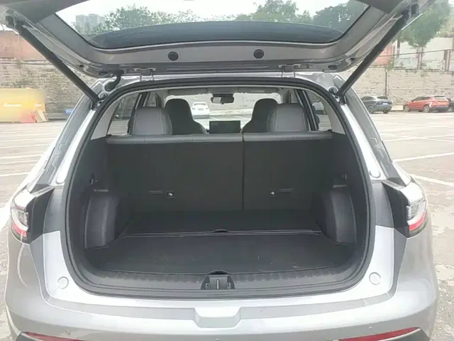 Geely Starry Wish — Фото автомобиля 18
