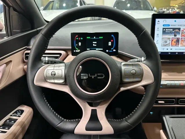 BYD Seagull — Фото автомобиля 13