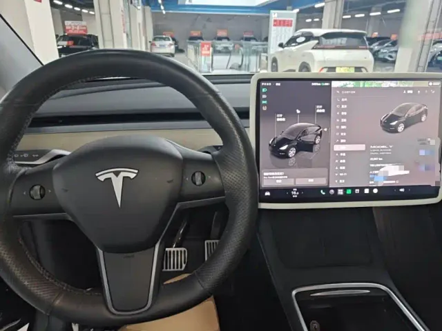 Tesla Model Y — Фото автомобиля 9