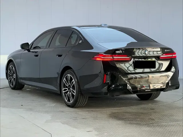 BMW 5 Series — Фото автомобиля 15