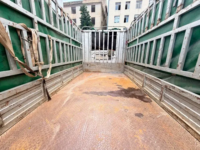 Linxys Ling Shi Golden Card — Фото автомобиля 19