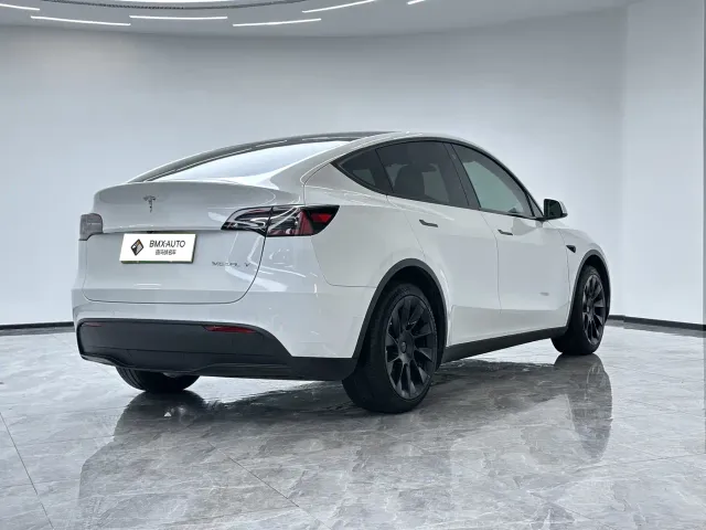 Tesla Model Y — Фото автомобиля 3