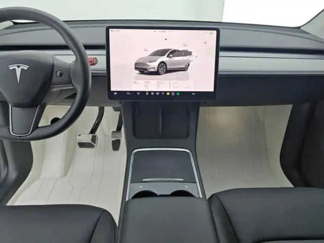 Tesla Model Y — Фото автомобиля 16