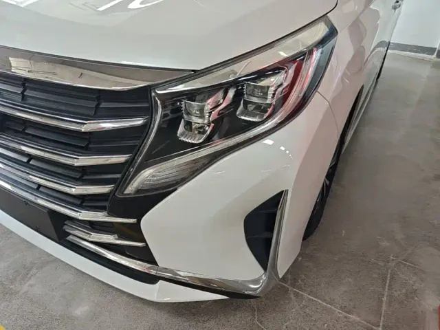 GAC Trumpchi Trumpchi M8 2024 Leadershow Series 390T Luxury Edition — Фото автомобиля 23