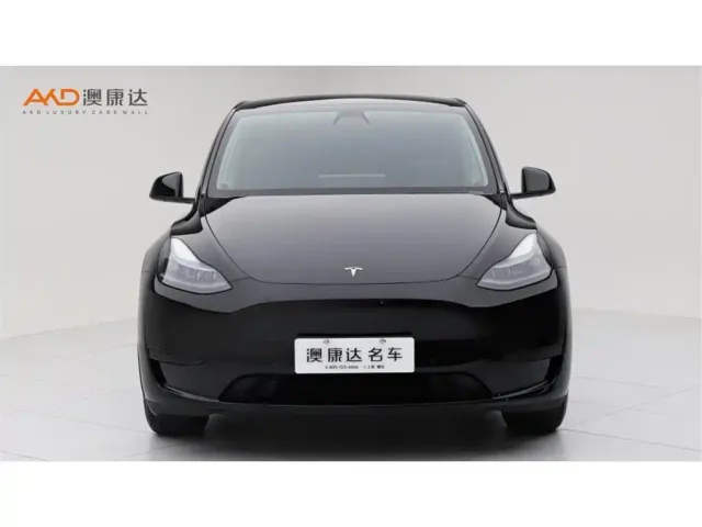 Tesla Model Y — Фото автомобиля 2