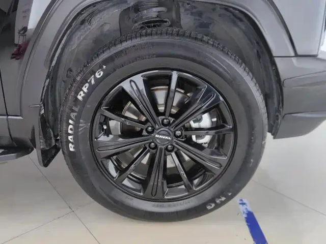 Haval Raptor — Фото автомобиля 6