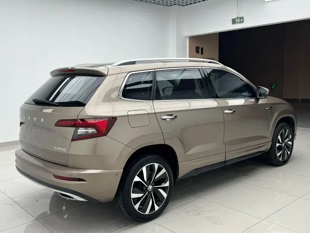 Skoda Karoq — Фото автомобиля 4