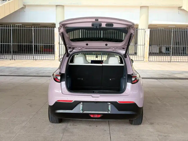 Geely Starry Wish — Фото автомобиля 13