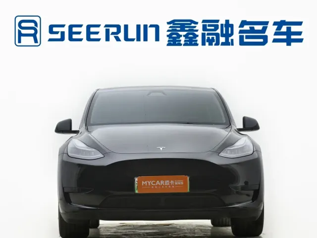 Tesla Model Y — Фото автомобиля 2