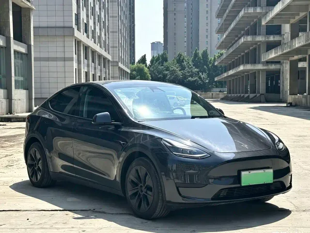 Tesla Model Y — Фото автомобиля 3