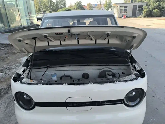 Geely Panda — Фото автомобиля 19