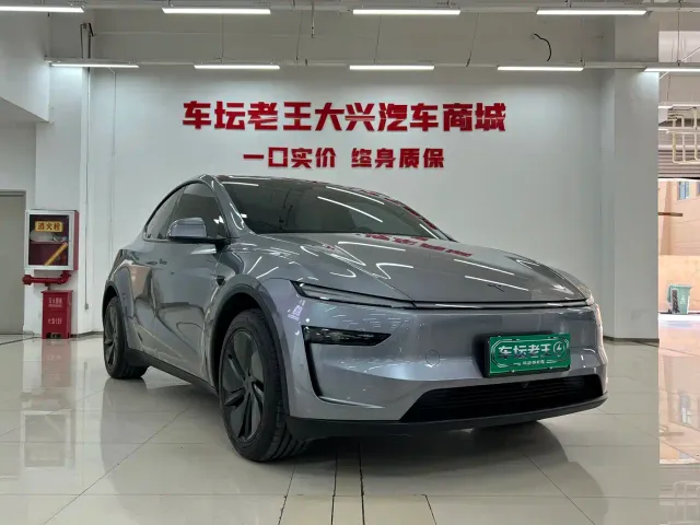 Tesla Model Y — Фото автомобиля 3