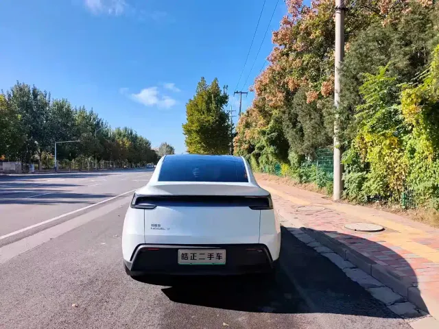 Tesla Model Y — Фото автомобиля 5