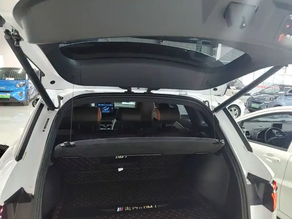 BYD Song Pro New Energy 2022 DM-i 110km Flagship — Фото автомобиля 18