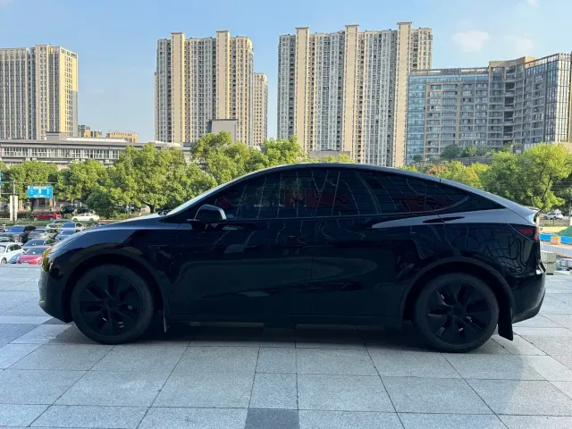 Tesla Model Y — Фото автомобиля 4