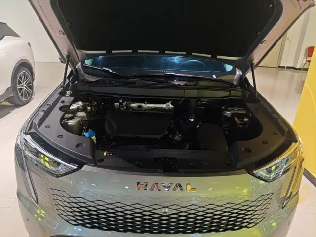 Haval Xiaolong MAX — Фото автомобиля 19
