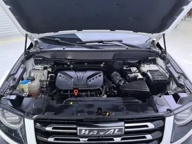 Haval Big Dog — Фото автомобиля 10