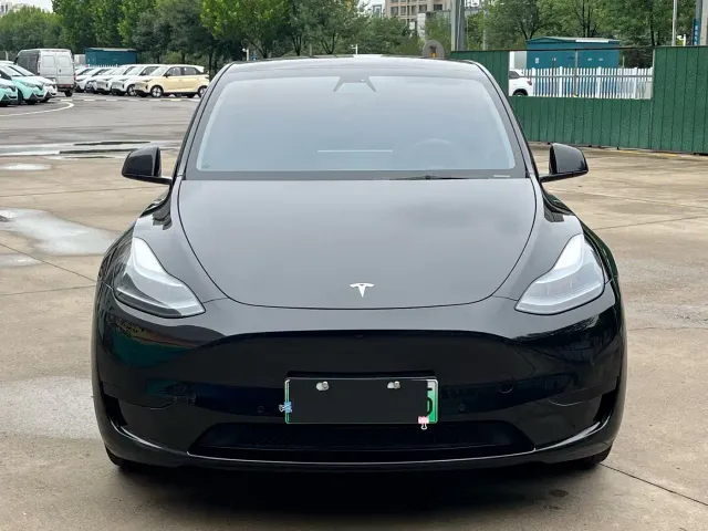 Tesla Model Y — Фото автомобиля 2