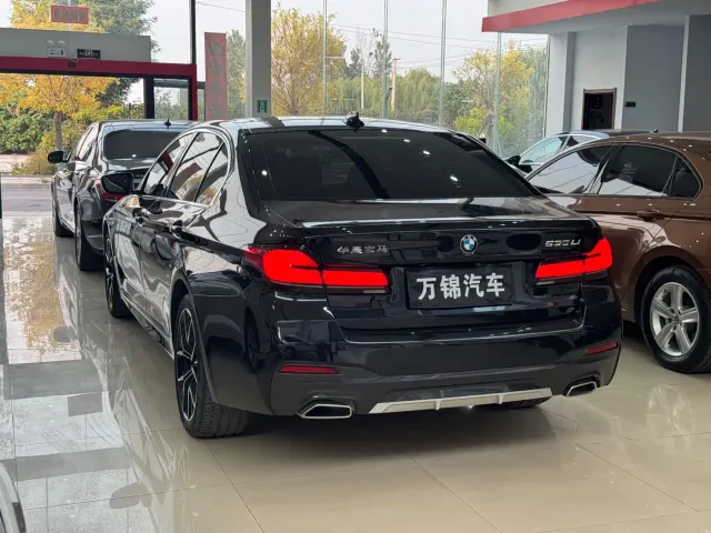 BMW 5 Series — Фото автомобиля 4