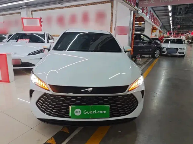 BYD Qin PLUS — Фото автомобиля 2