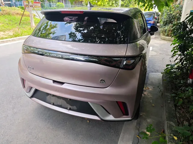 BYD Dolphin — Фото автомобиля 6
