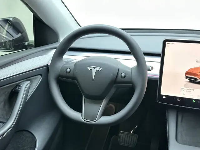 Tesla Model Y — Фото автомобиля 19