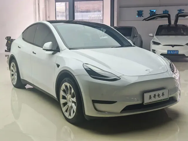 Tesla Model Y — Фото автомобиля 3
