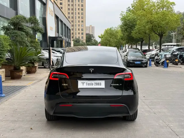 Tesla Model Y — Фото автомобиля 5