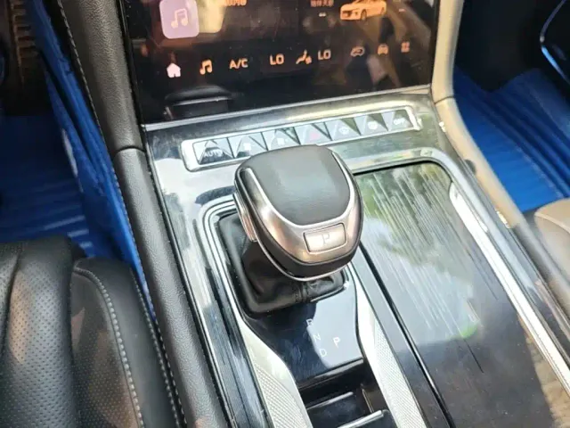 Hongqi Hongqi H5 2023 1.5T HEV Smart Connect Flag Comfort — Фото автомобиля 13