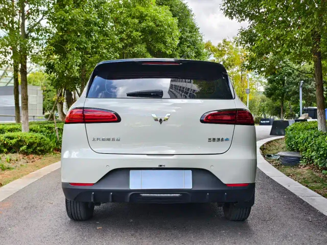 Wuling Binguo PLUS — Фото автомобиля 13