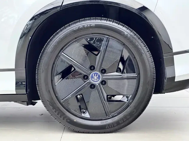 BYD Song L EV — Фото автомобиля 16